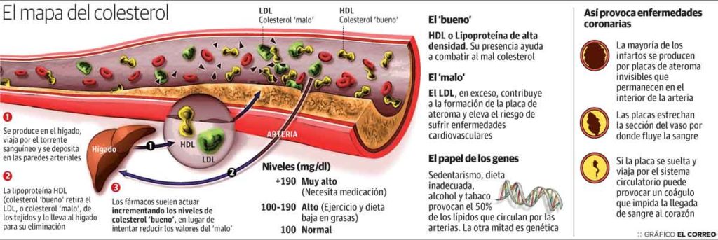 Figura 1. Consideraciones sobre el colesterol.