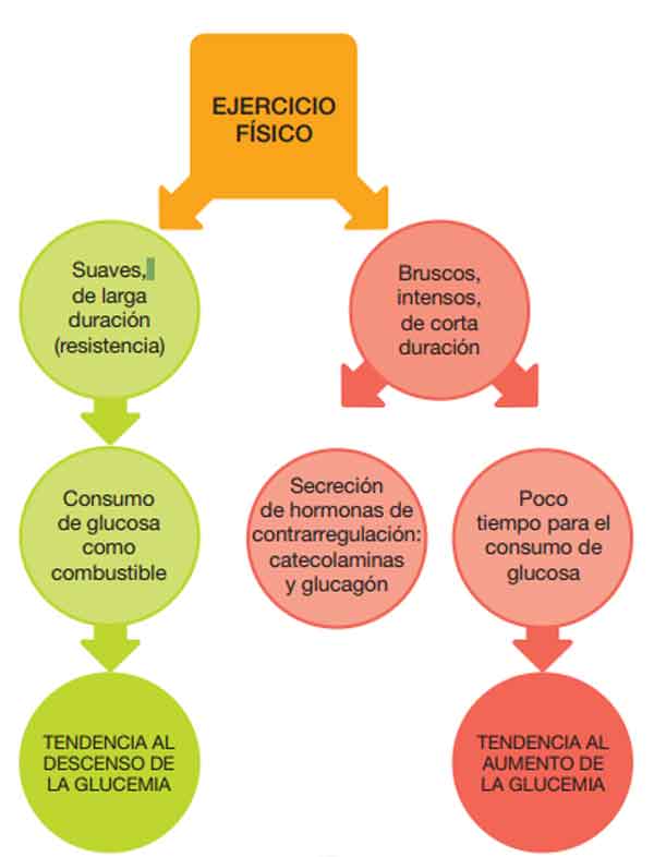 Figura 5. Deportes aconsejados. Deben ser aeróbicos o de baja resistencia.