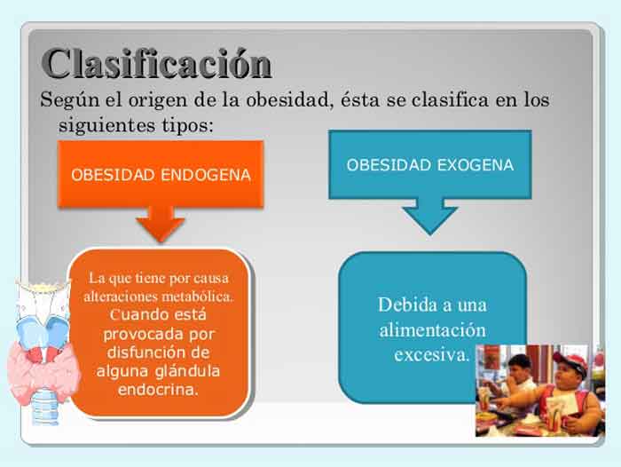 Figura 2. Tipos de obesidad.
