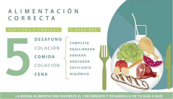 Figura 6. Características de las 5 comidas al día en alimentación infantil.